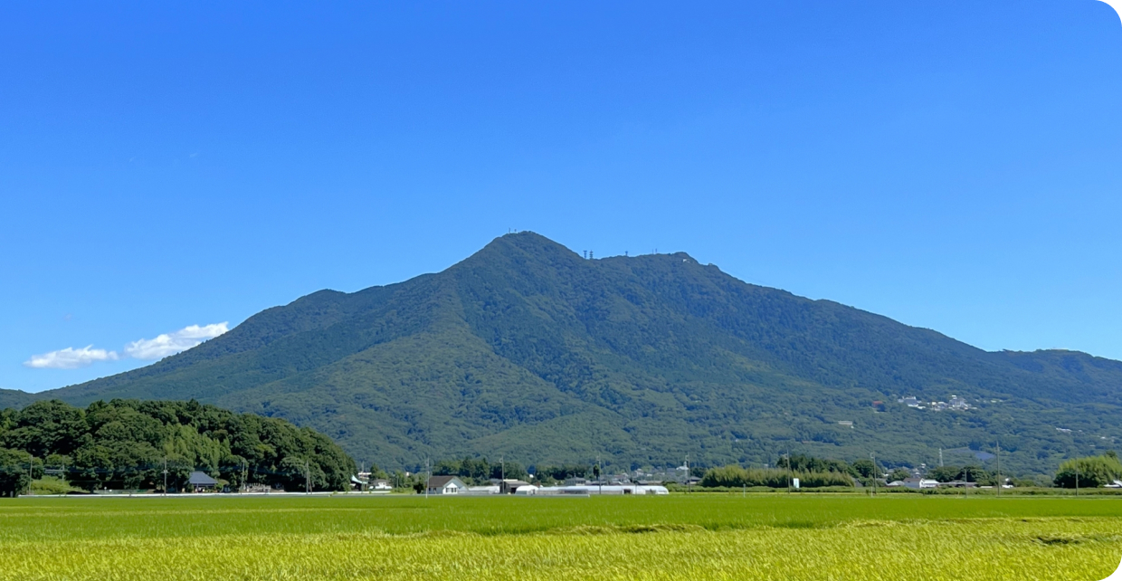 筑波山と田園風景